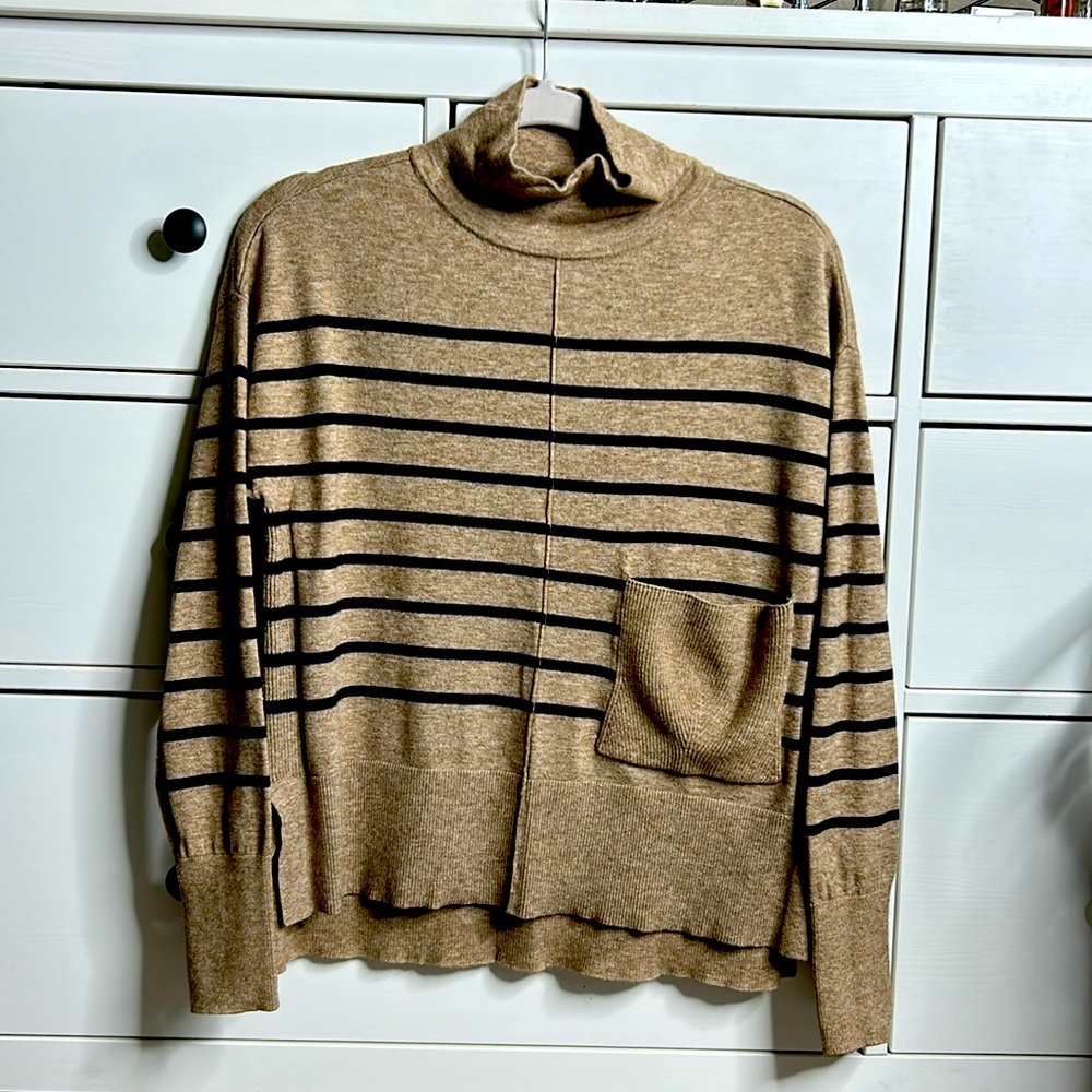 Charlie B - Brown turtle neck with blue stripes.